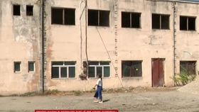 VIDEO Autoritățile din Târgu Jiu merg mai departe cu operațiunea de eutanasiere a câinilor